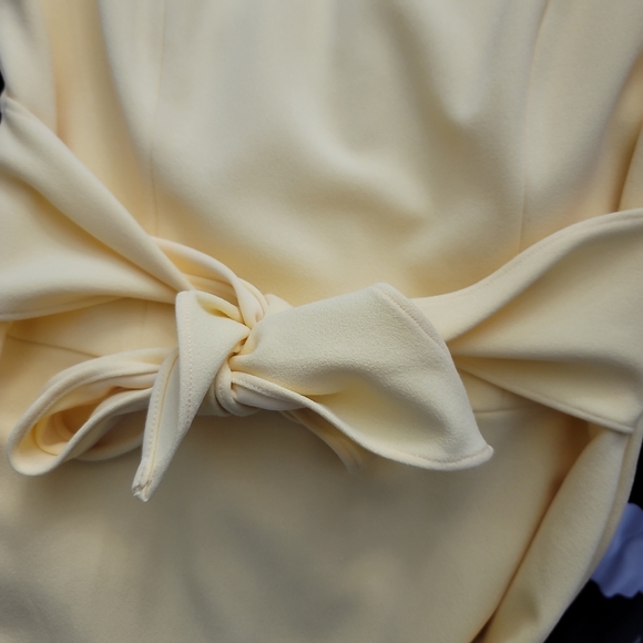 Adrianna Papell Knit Crepe Tie Waist Sheath Dress - Picture 8 of 12